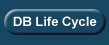 DB Life Cycle